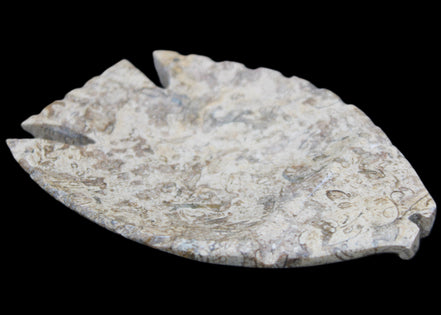 Fossil Stone hand-carved Fish platter 145*105*20mm 411g in sunlight - Rocks and Things Store