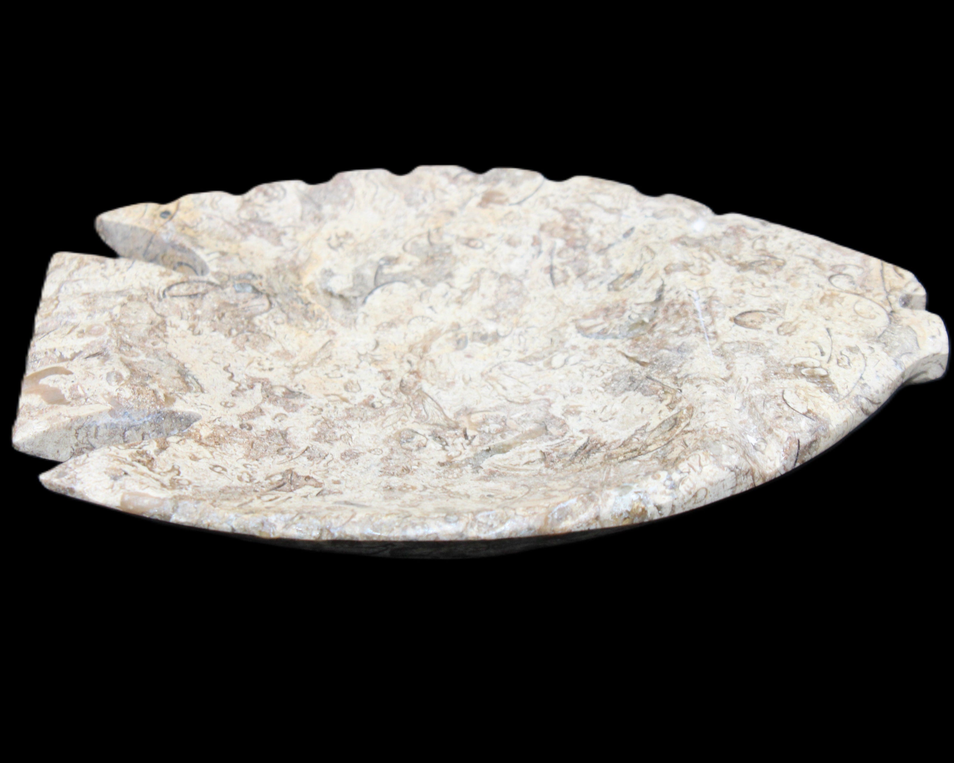 Fossil Stone hand-carved Fish platter 145*105*20mm 411g in sunlight - Rocks and Things Store