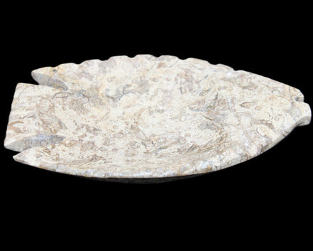 Fossil Stone hand-carved Fish platter 145*105*20mm 411g in sunlight - Rocks and Things Store