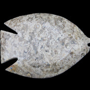 Fossil Stone hand-carved Fish platter 145*105*20mm 411g in sunlight - Rocks and Things Store