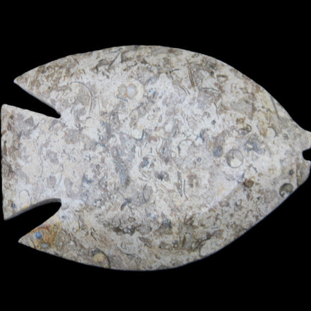 Fossil Stone hand-carved Fish platter 145*105*20mm 411g in sunlight - Rocks and Things Store