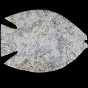 Fossil Stone hand-carved Fish platter 145*105*20mm 411g in sunlight - Rocks and Things Store