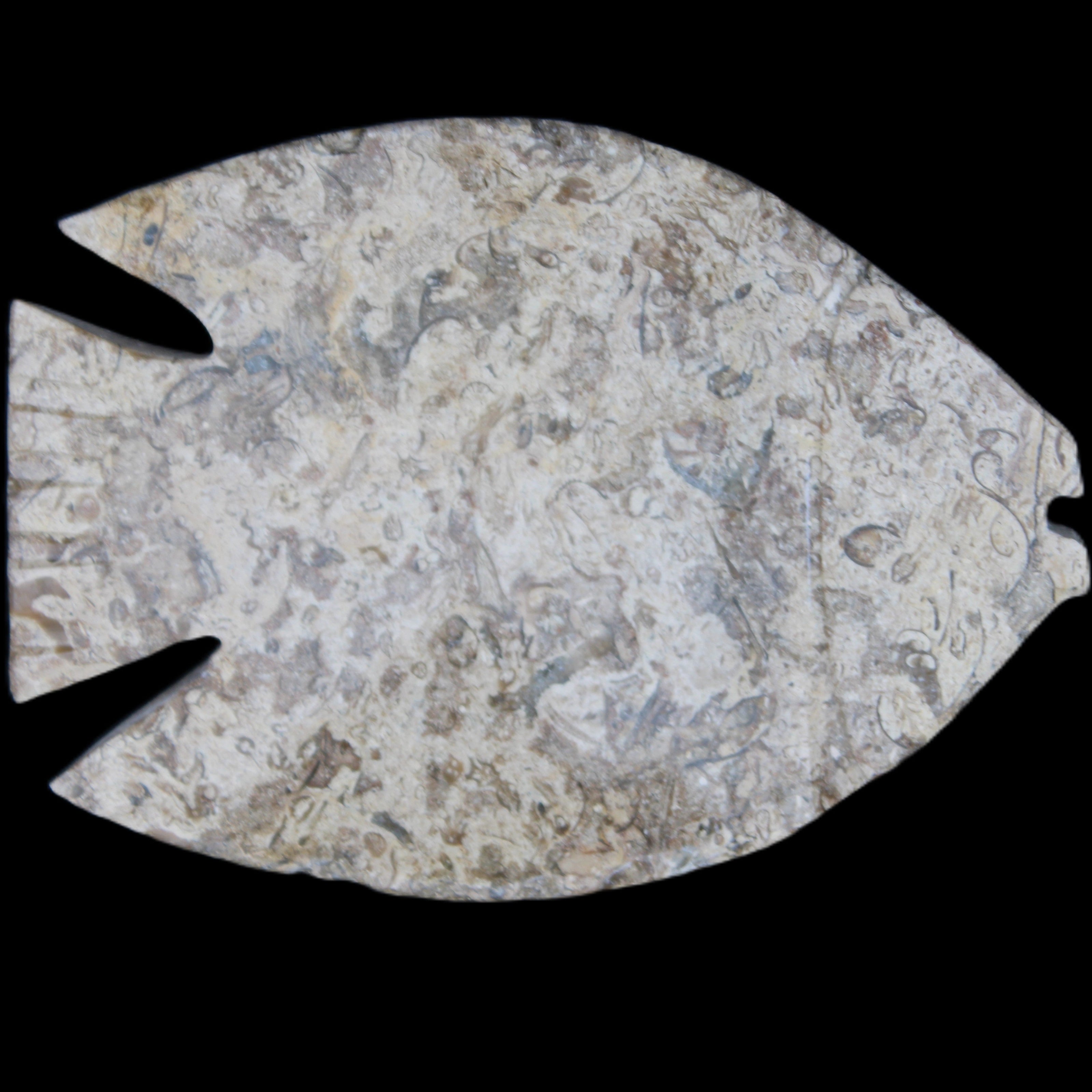 Fossil Stone hand-carved Fish platter 145*105*20mm 411g in sunlight - Rocks and Things Store