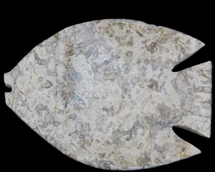Fossil Stone hand-carved Fish platter 145*105*20mm 411g in sunlight - Rocks and Things Store