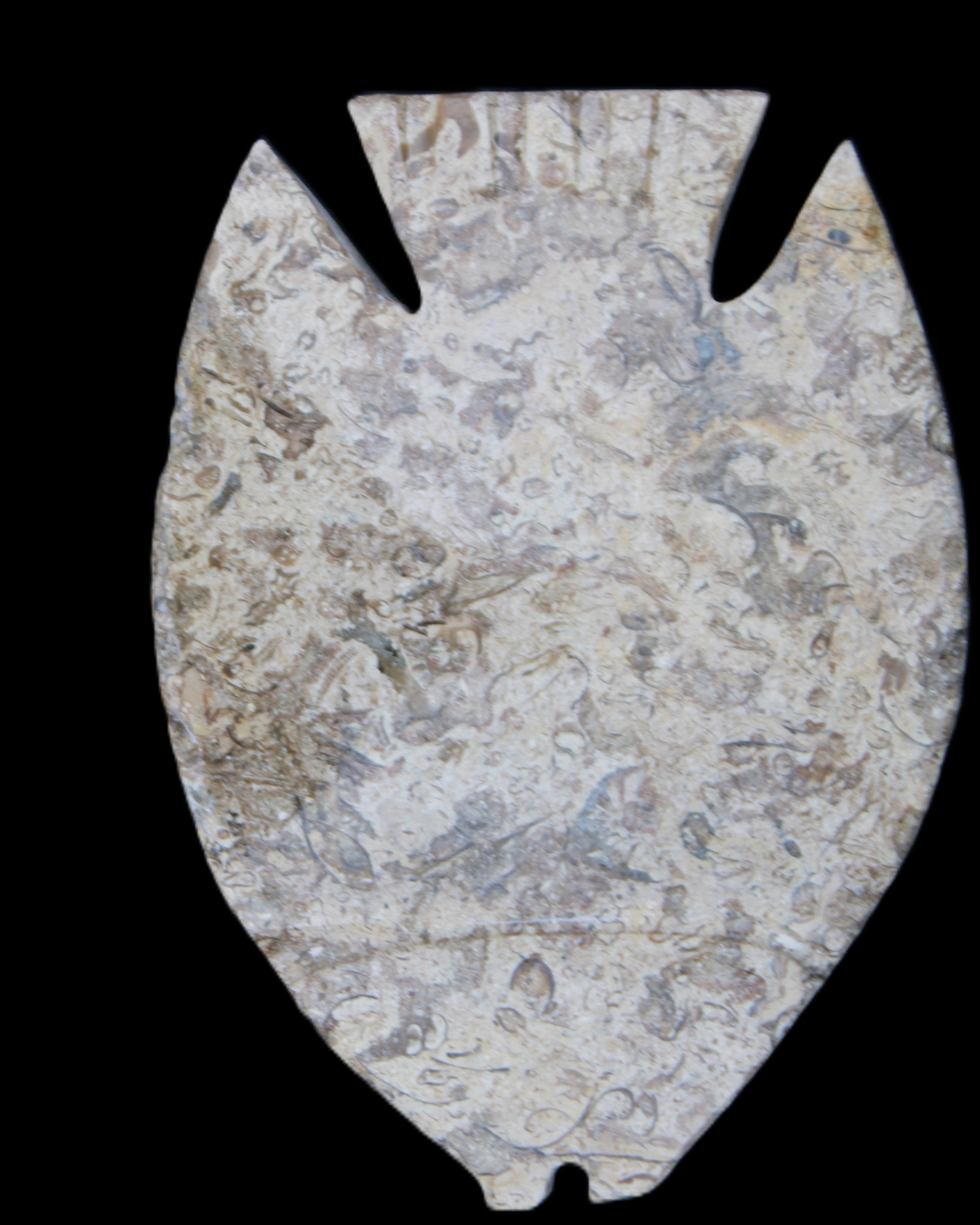 Fossil Stone hand-carved Fish platter 145*105*20mm 411g in sunlight - Rocks and Things Store