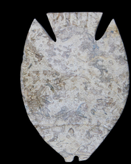 Fossil Stone hand-carved Fish platter 145*105*20mm 411g in sunlight - Rocks and Things Store