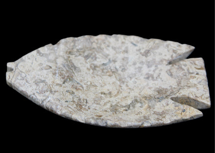 Fossil Stone hand-carved Fish platter 145*105*20mm 411g in sunlight - Rocks and Things Store