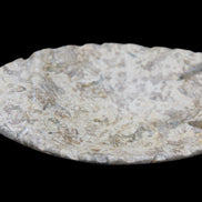 Fossil Stone hand-carved Fish platter 145*105*20mm 411g in sunlight - Rocks and Things Store