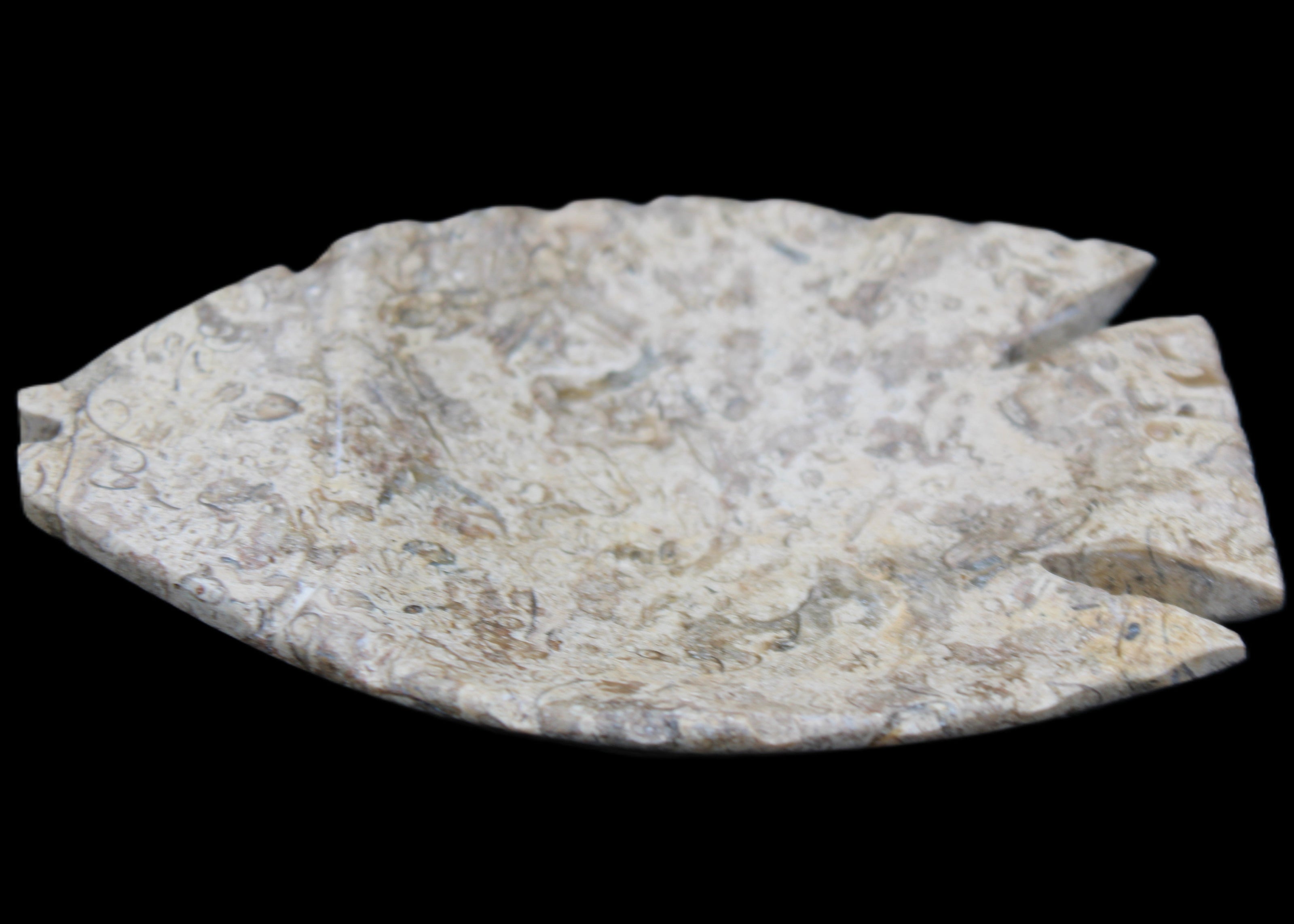 Fossil Stone hand-carved Fish platter 145*105*20mm 411g in sunlight - Rocks and Things Store