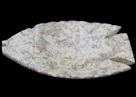 Fossil Stone hand-carved Fish platter 145*105*20mm 411g in sunlight - Rocks and Things Store