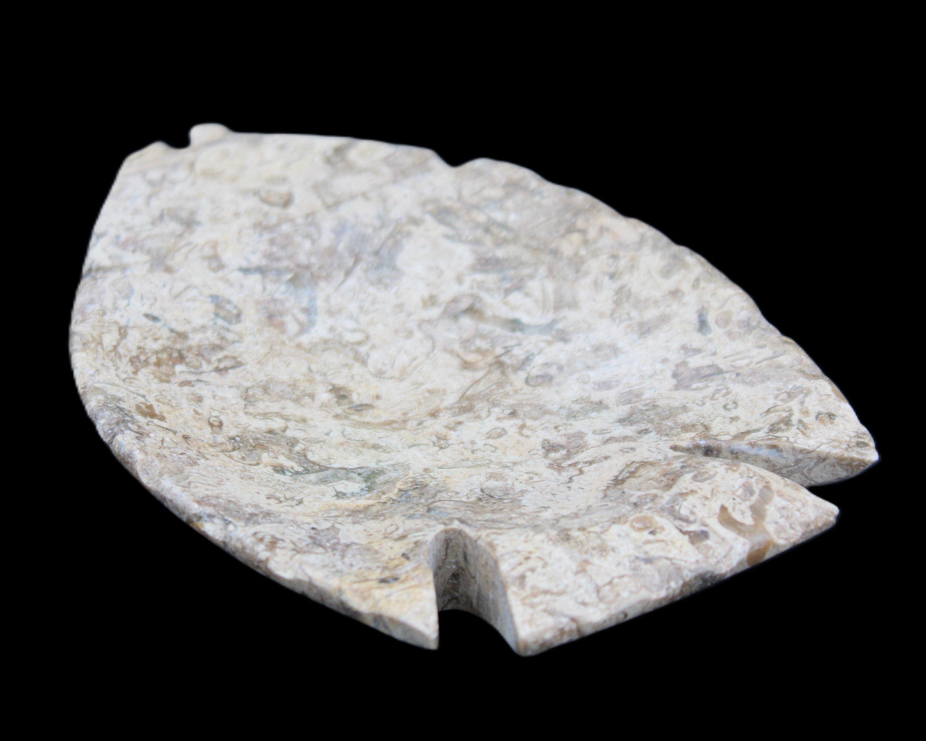 Fossil Stone hand-carved Fish platter 145*105*20mm 411g in sunlight - Rocks and Things Store