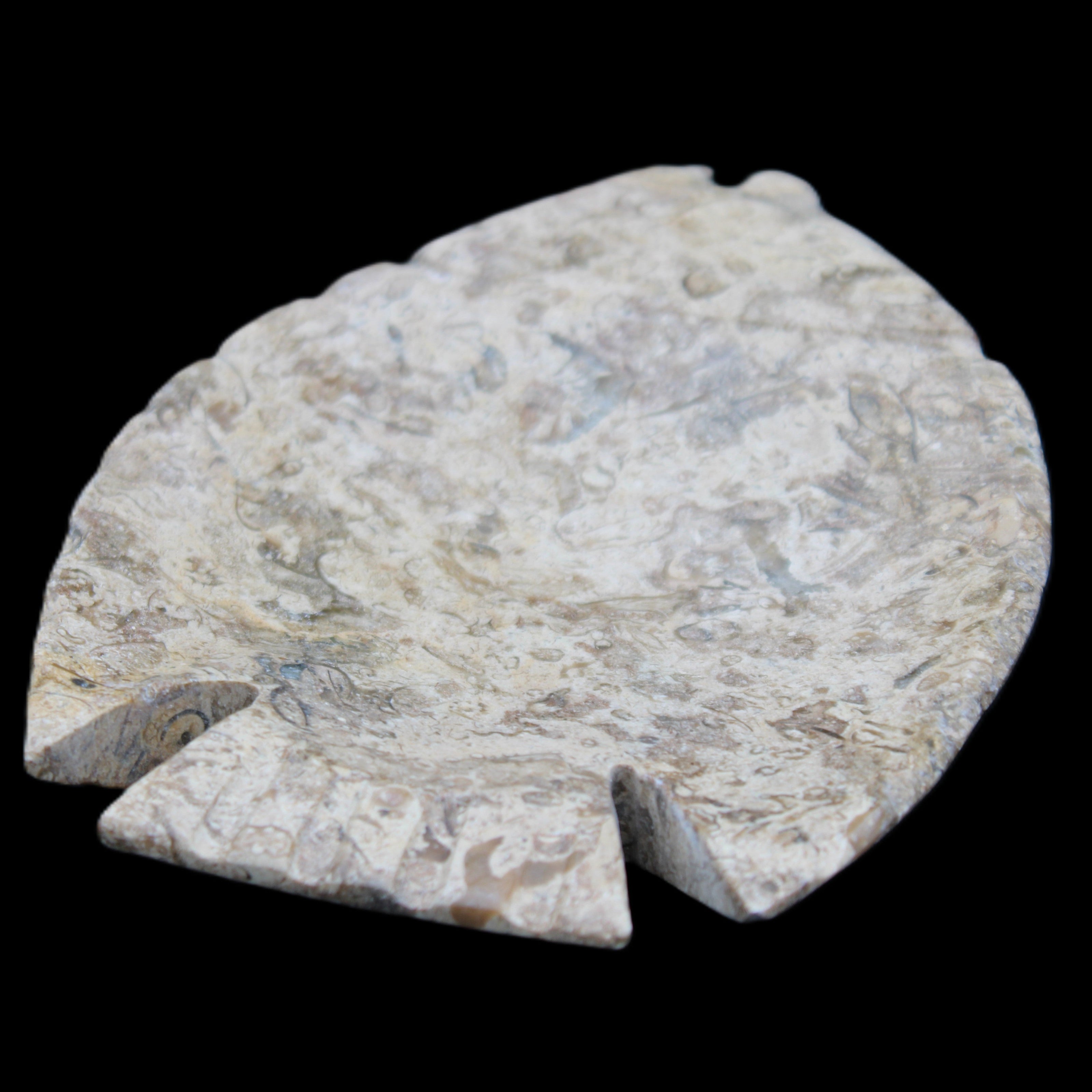 Fossil Stone hand-carved Fish platter 145*105*20mm 411g in sunlight - Rocks and Things Store