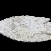 Fossil Stone hand-carved Fish platter 145*105*20mm 411g in sunlight - Rocks and Things Store