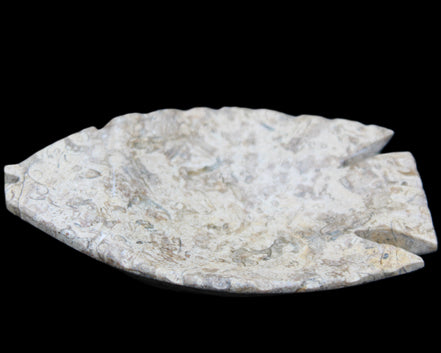 Fossil Stone hand-carved Fish platter 145*105*20mm 411g in sunlight - Rocks and Things Store
