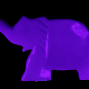 White Jade hand-carved Fish platter 146*103*21mm 500g in UV light - Rocks and Things Store