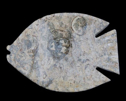 Fossil Stone hand-carved Fish platter 146*105*20mm 411g in sunlight - Rocks and Things Store