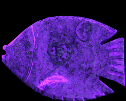 Fossil Stone hand-carved Fish platter 146*105*20mm 411g in UV light - Rocks and Things Store