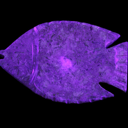 Fossil Stone hand-carved Fish platter 146*105*20mm 411g in UV light - Rocks and Things Store