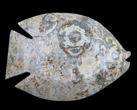 Fossil Stone hand-carved Fish platter 146*105*20mm 411g in sunlight - Rocks and Things Store
