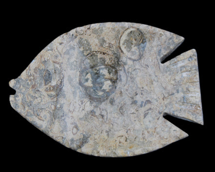 Fossil Stone hand-carved Fish platter 146*105*20mm 411g in sunlight - Rocks and Things Store