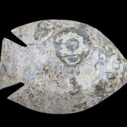 Fossil Stone hand-carved Fish platter 146*105*20mm 411g in sunlight - Rocks and Things Store