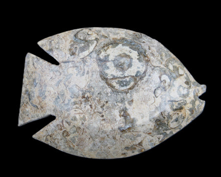 Fossil Stone hand-carved Fish platter 146*105*20mm 411g in sunlight - Rocks and Things Store