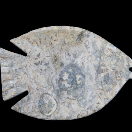 Fossil Stone hand-carved Fish platter 146*105*20mm 411g in sunlight - Rocks and Things Store