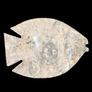Fossil Stone hand-carved Fish platter 146*105*20mm 411g in sunlight - Rocks and Things Store