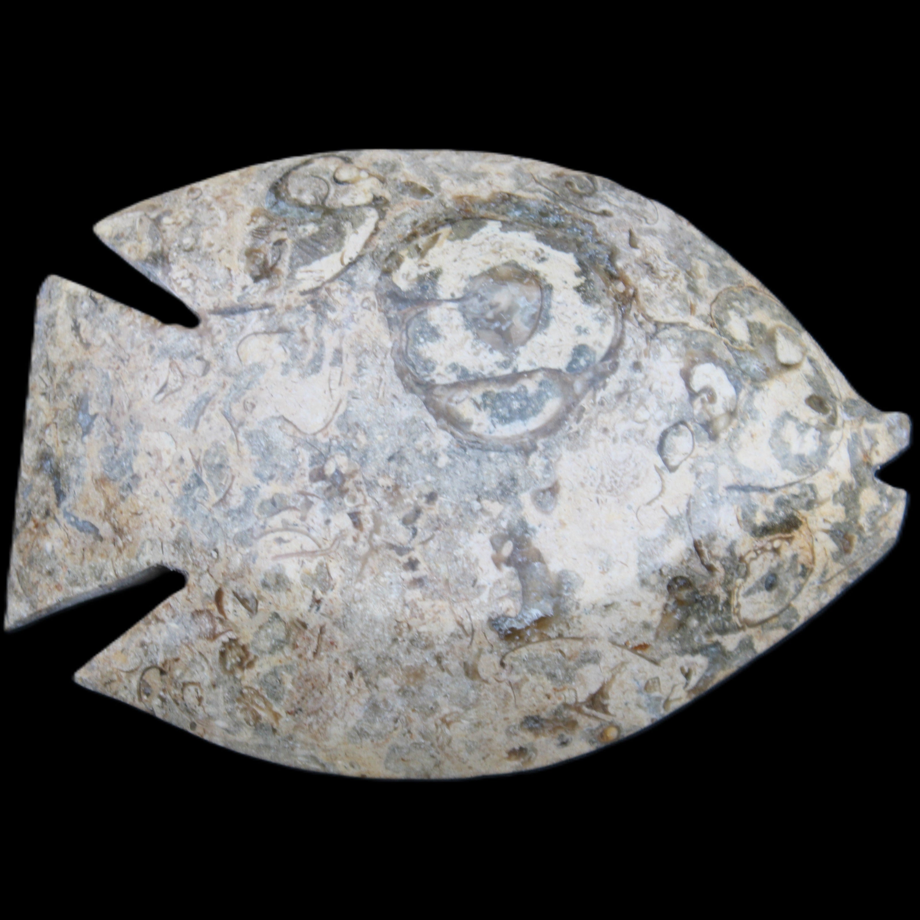 Fossil Stone hand-carved Fish platter 146*105*20mm 411g in sunlight - Rocks and Things Store