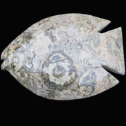 Fossil Stone hand-carved Fish platter 146*105*20mm 411g in sunlight - Rocks and Things Store