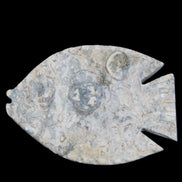 Fossil Stone hand-carved Fish platter 146*105*20mm 411g in sunlight - Rocks and Things Store