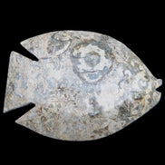 Fossil Stone hand-carved Fish platter 146*105*20mm 411g in sunlight - Rocks and Things Store