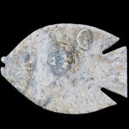Fossil Stone hand-carved Fish platter 146*105*20mm 411g in sunlight - Rocks and Things Store