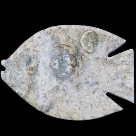 Fossil Stone hand-carved Fish platter 146*105*20mm 411g in sunlight - Rocks and Things Store