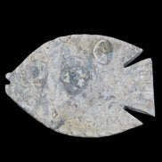 Fossil Stone hand-carved Fish platter 146*105*20mm 411g in sunlight - Rocks and Things Store