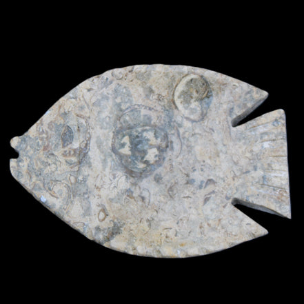 Fossil Stone hand-carved Fish platter 146*105*20mm 411g in sunlight - Rocks and Things Store