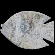 Fossil Stone hand-carved Fish platter 146*105*20mm 411g in sunlight - Rocks and Things Store