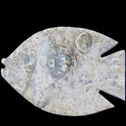 Fossil Stone hand-carved Fish platter 146*105*20mm 411g in sunlight - Rocks and Things Store