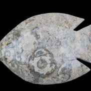 Fossil Stone hand-carved Fish platter 146*105*20mm 411g in sunlight - Rocks and Things Store