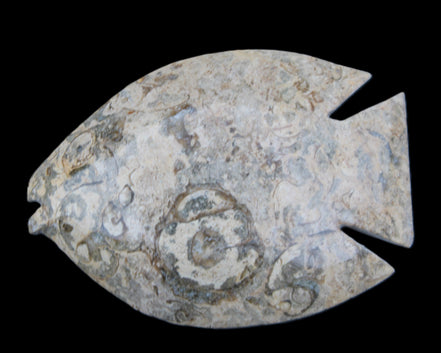 Fossil Stone hand-carved Fish platter 146*105*20mm 411g in sunlight - Rocks and Things Store
