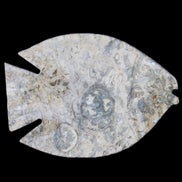 Fossil Stone hand-carved Fish platter 146*105*20mm 411g in sunlight - Rocks and Things Store