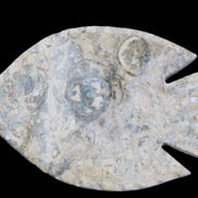 Fossil Stone hand-carved Fish platter 146*105*20mm 411g in sunlight - Rocks and Things Store