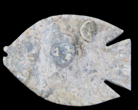 Fossil Stone hand-carved Fish platter 146*105*20mm 411g in sunlight - Rocks and Things Store