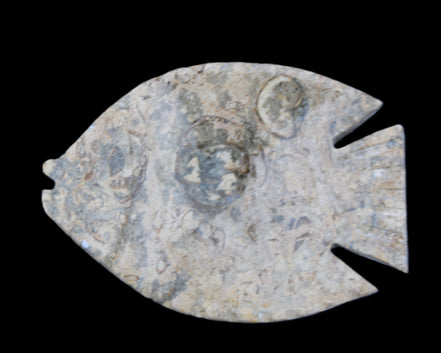 Fossil Stone hand-carved Fish platter 146*105*20mm 411g in sunlight - Rocks and Things Store