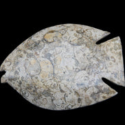Fossil Stone hand-carved Fish platter 147*103*20mm 395g in sunlight - Rocks and Things Store