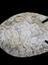 Fossil Stone hand-carved Fish platter 147*103*20mm 395g in sunlight - Rocks and Things Store