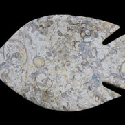 Fossil Stone hand-carved Fish platter 147*103*20mm 395g in sunlight - Rocks and Things Store