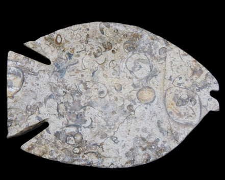 Fossil Stone hand-carved Fish platter 147*103*20mm 395g in sunlight - Rocks and Things Store