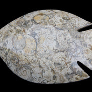 Fossil Stone hand-carved Fish platter 147*103*20mm 395g in sunlight - Rocks and Things Store