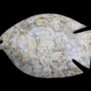 Fossil Stone hand-carved Fish platter 147*103*20mm 395g in sunlight - Rocks and Things Store